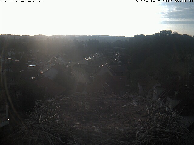 Archiv Foto Webcam Storchennest Bad Waldsee