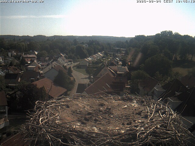 Archiv Foto Webcam Storchennest Bad Waldsee