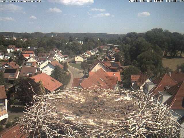 Archiv Foto Webcam Storchennest Bad Waldsee