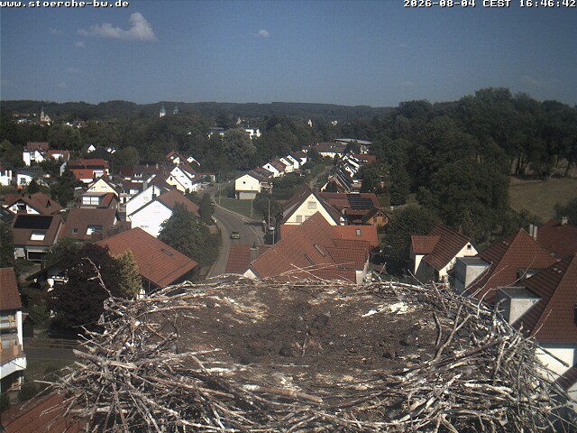 Archiv Foto Webcam Storchennest Bad Waldsee