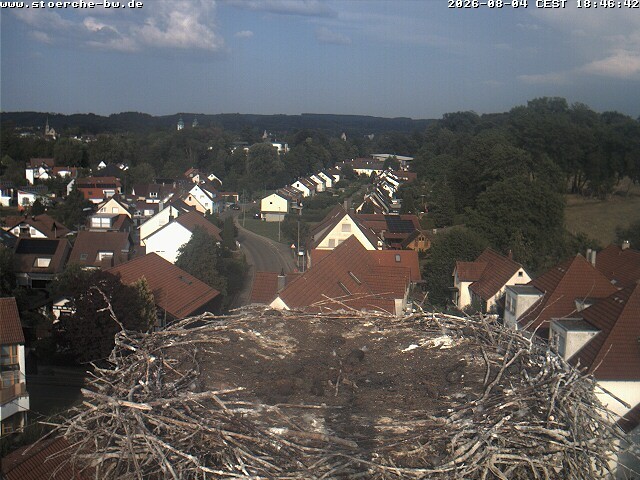 Archiv Foto Webcam Storchennest Bad Waldsee