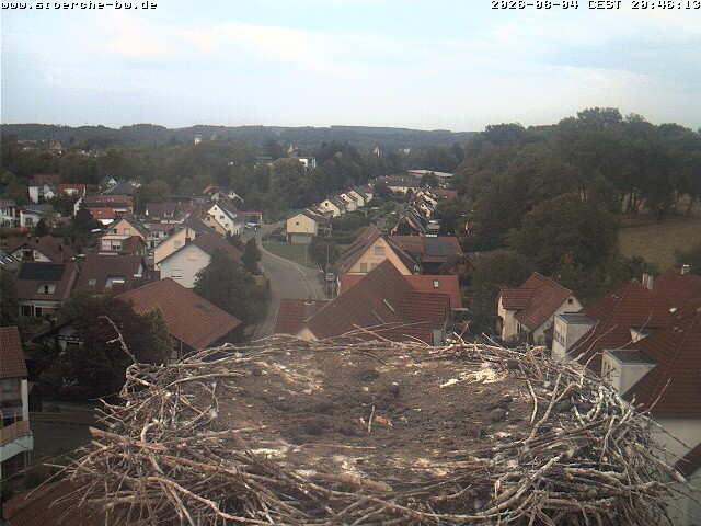 Archiv Foto Webcam Storchennest Bad Waldsee