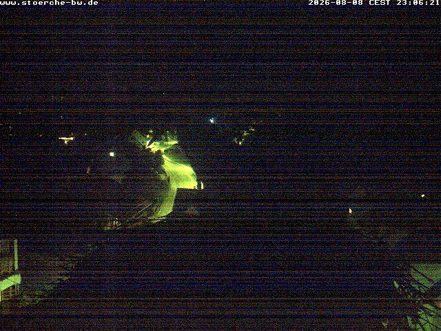Archiv Foto Webcam Storchennest Bad Waldsee