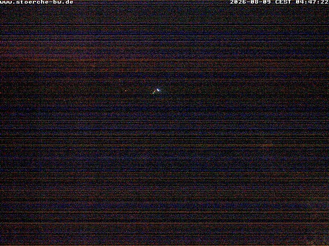 Archiv Foto Webcam Storchennest Bad Waldsee