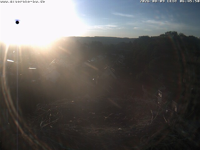 Archiv Foto Webcam Storchennest Bad Waldsee