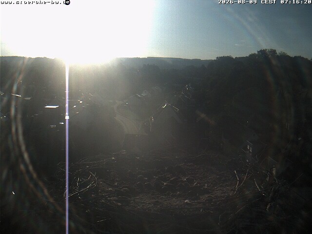 Archiv Foto Webcam Storchennest Bad Waldsee