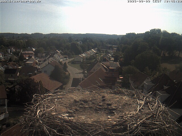 Archiv Foto Webcam Storchennest Bad Waldsee