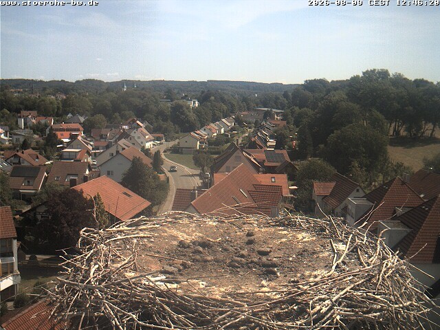 Archiv Foto Webcam Storchennest Bad Waldsee