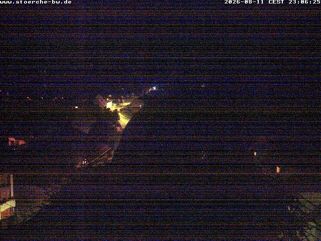 Archiv Foto Webcam Storchennest Bad Waldsee