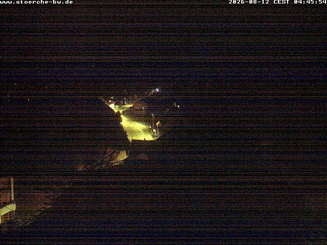 Archiv Foto Webcam Storchennest Bad Waldsee