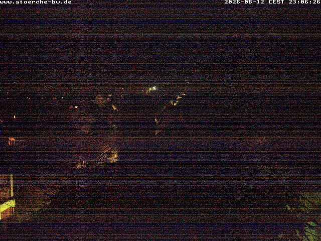 Archiv Foto Webcam Storchennest Bad Waldsee