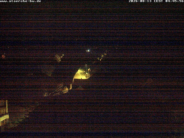 Archiv Foto Webcam Storchennest Bad Waldsee