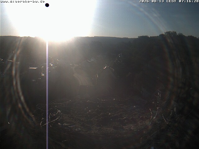 Archiv Foto Webcam Storchennest Bad Waldsee