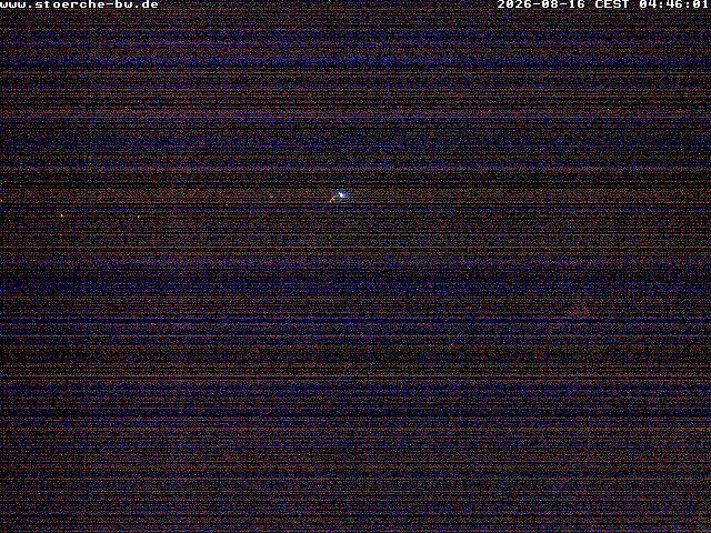 Archiv Foto Webcam Storchennest Bad Waldsee