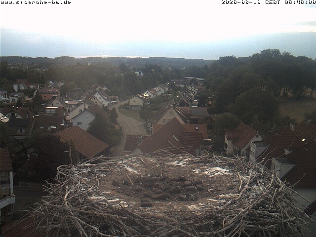 Archiv Foto Webcam Storchennest Bad Waldsee