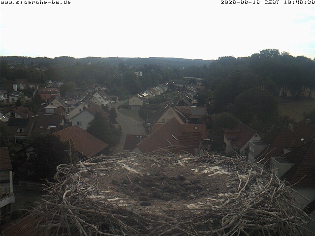 Archiv Foto Webcam Storchennest Bad Waldsee