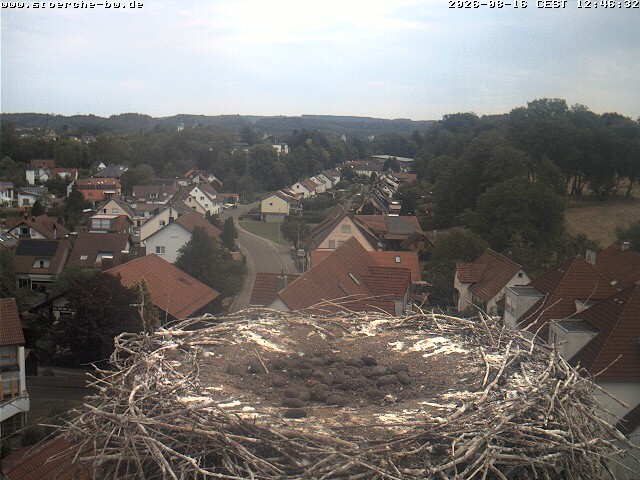 Archiv Foto Webcam Storchennest Bad Waldsee