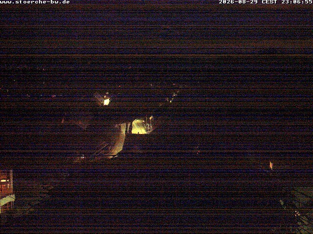Archiv Foto Webcam Storchennest Bad Waldsee