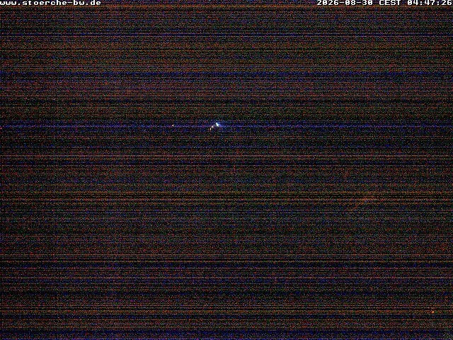 Archiv Foto Webcam Storchennest Bad Waldsee