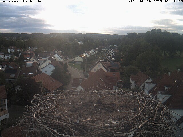 Archiv Foto Webcam Storchennest Bad Waldsee