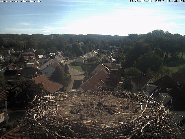 Archiv Foto Webcam Storchennest Bad Waldsee