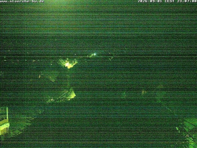 Archiv Foto Webcam Storchennest Bad Waldsee