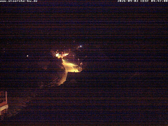 Archiv Foto Webcam Storchennest Bad Waldsee
