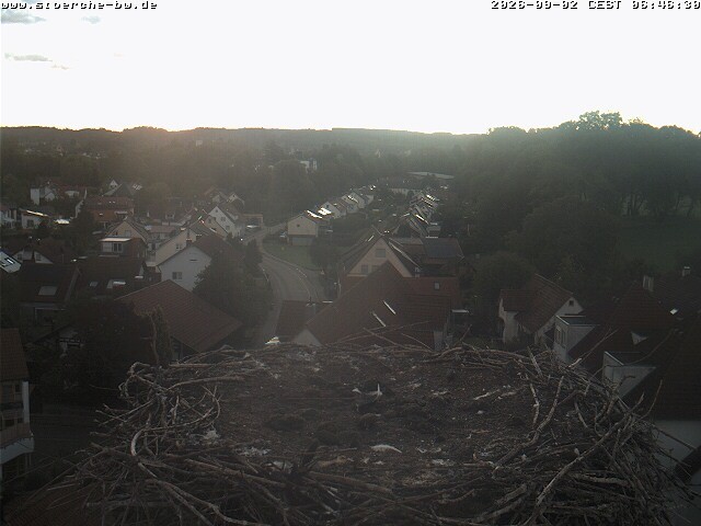 Archiv Foto Webcam Storchennest Bad Waldsee