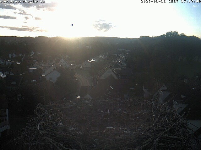 Archiv Foto Webcam Storchennest Bad Waldsee