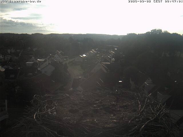 Archiv Foto Webcam Storchennest Bad Waldsee