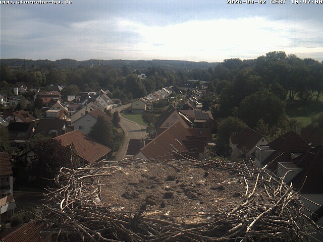Archiv Foto Webcam Storchennest Bad Waldsee