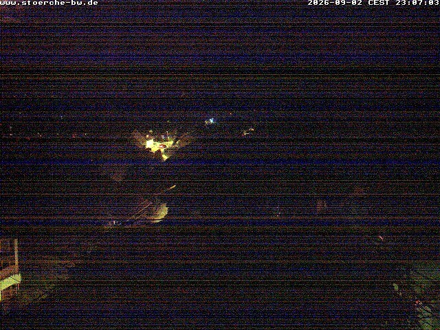 Archiv Foto Webcam Storchennest Bad Waldsee