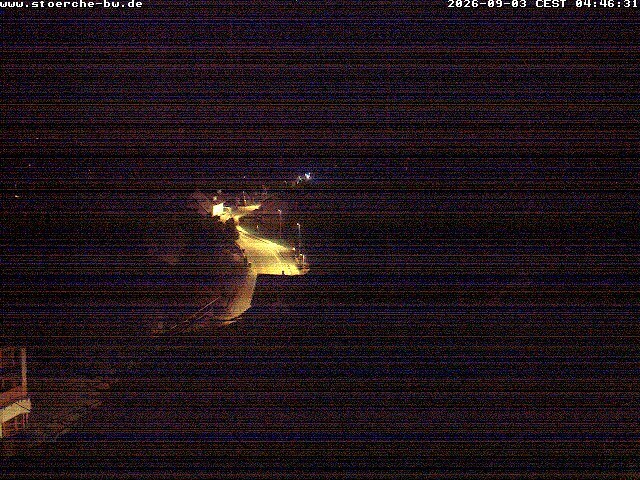 Archiv Foto Webcam Storchennest Bad Waldsee