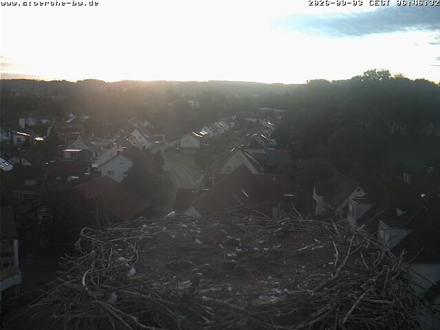 Archiv Foto Webcam Storchennest Bad Waldsee