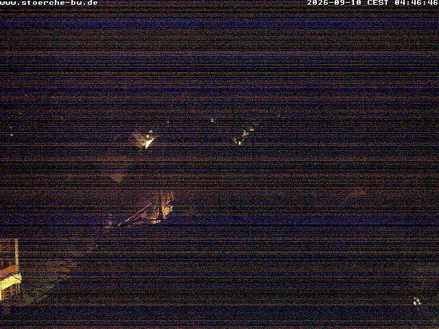 Archiv Foto Webcam Storchennest Bad Waldsee