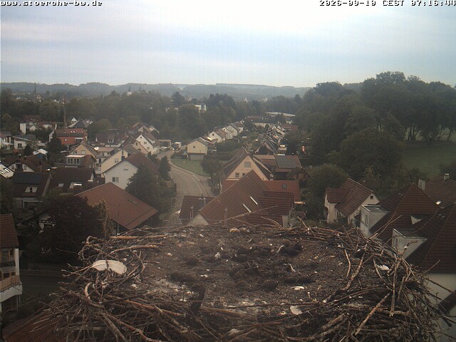 Archiv Foto Webcam Storchennest Bad Waldsee