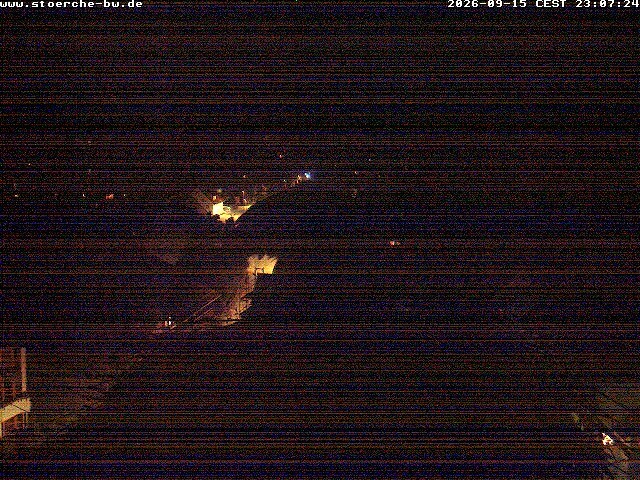 Archiv Foto Webcam Storchennest Bad Waldsee