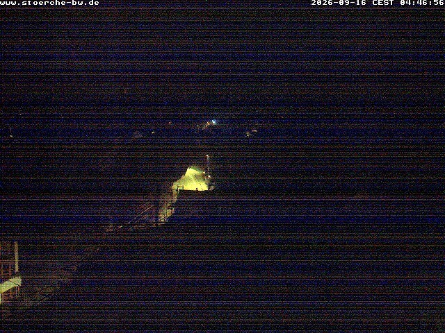 Archiv Foto Webcam Storchennest Bad Waldsee