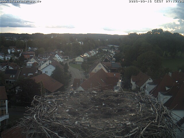 Archived image Webcam Stork's Nest Bad Waldsee