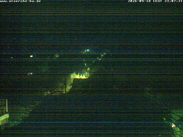 Archiv Foto Webcam Storchennest Bad Waldsee