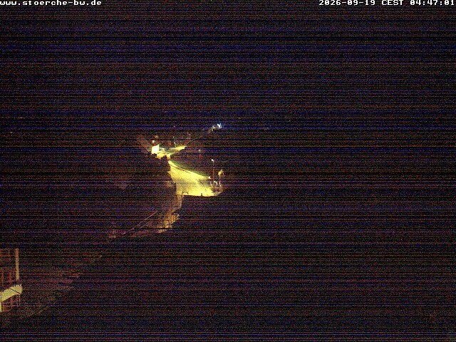 Archiv Foto Webcam Storchennest Bad Waldsee