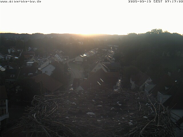 Archiv Foto Webcam Storchennest Bad Waldsee