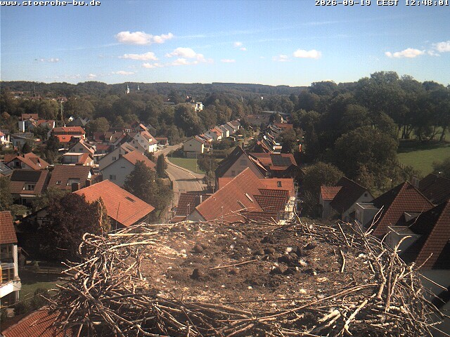 Archiv Foto Webcam Storchennest Bad Waldsee