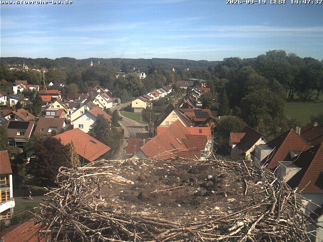 Archiv Foto Webcam Storchennest Bad Waldsee