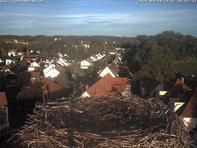 Archiv Foto Webcam Storchennest Bad Waldsee