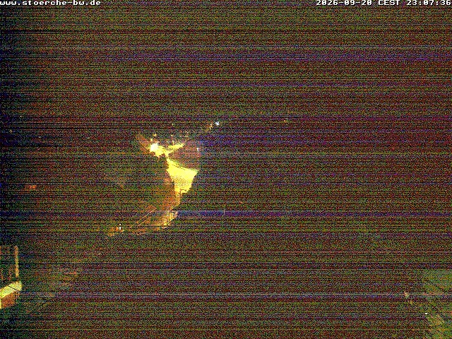 Archiv Foto Webcam Storchennest Bad Waldsee