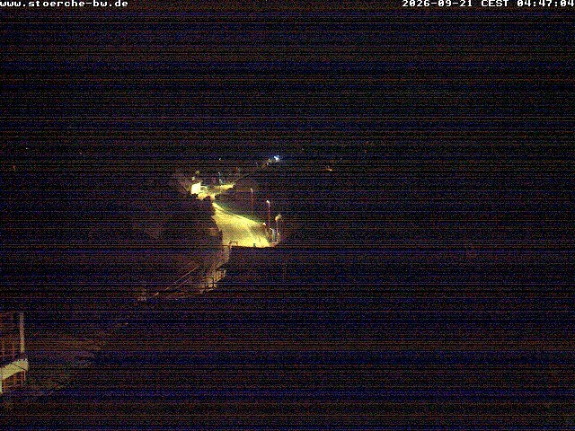 Archiv Foto Webcam Storchennest Bad Waldsee
