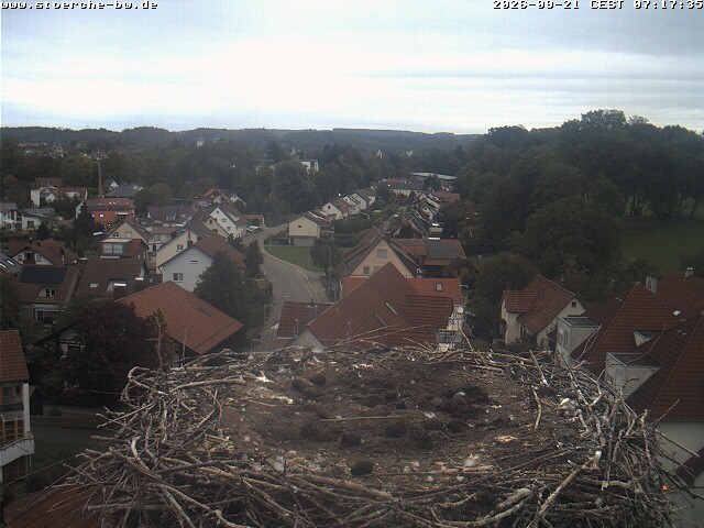 Archiv Foto Webcam Storchennest Bad Waldsee