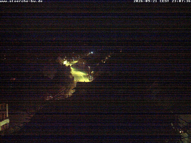 Archiv Foto Webcam Storchennest Bad Waldsee