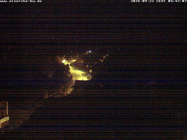 Archiv Foto Webcam Storchennest Bad Waldsee